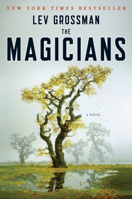 themagicians_cover