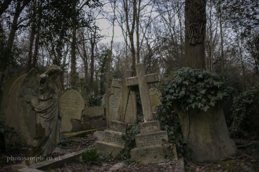 highgatecemetery-71