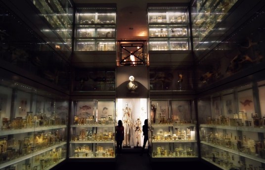 hunterian-museum-image-1